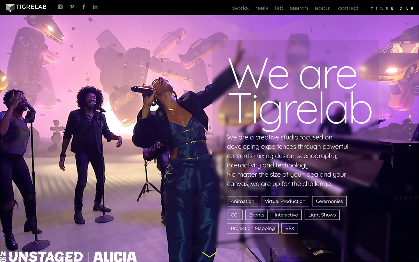 Tigrelab creative studio web development